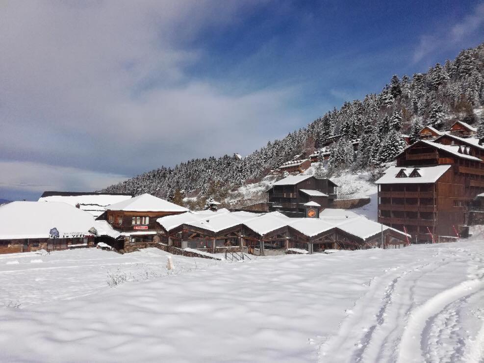 Pleine Nature Pied Pistes Piscine Chauffee Ustou Zewnętrze zdjęcie